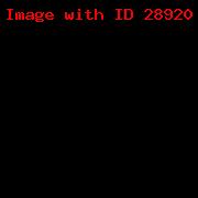 JOANA TRANS 2_2023a