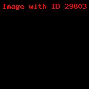 VANESSA TRANS 11_23b