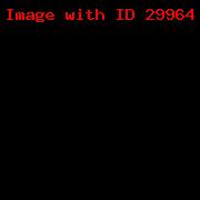 ADELINA 12_23
