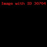 JOANA TRANS 21_23b